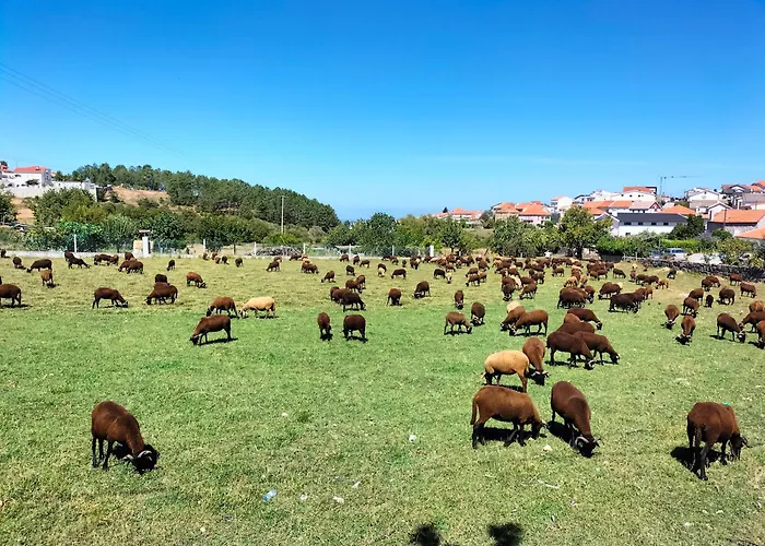 Casa Aguarela, Estilo Familiar Na Serra Da Estrela